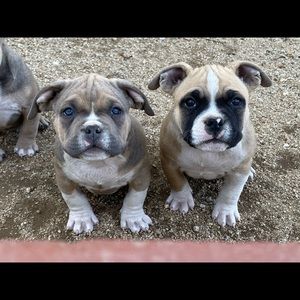 Meet your Posher, Cassandra